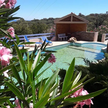 Oceane Vue Mer Incroyable, Piscine Location Entier 2 A 4 Pers Proche Plage * Olmucciu